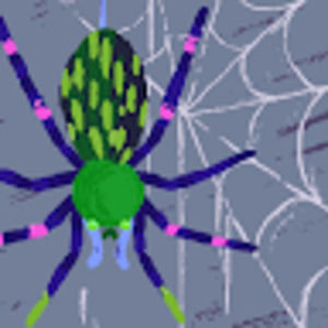 Meet your Posher, Lawrence